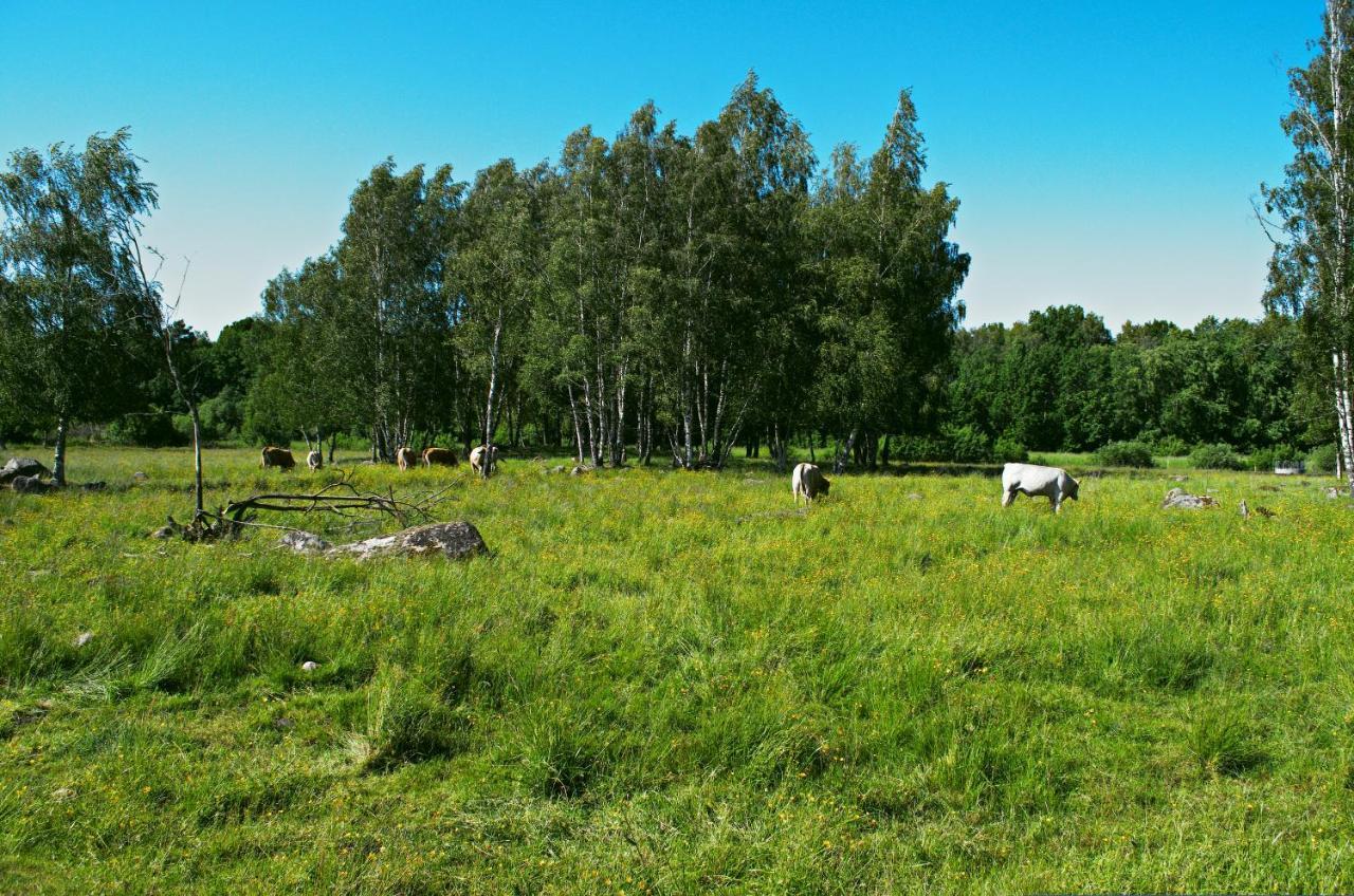 Gaeststugan Скара Екстериор снимка