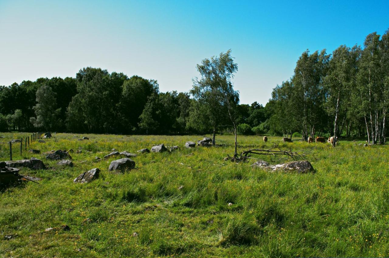 Gaeststugan Скара Екстериор снимка